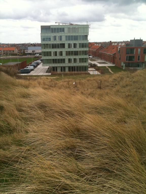 Dune Oostende